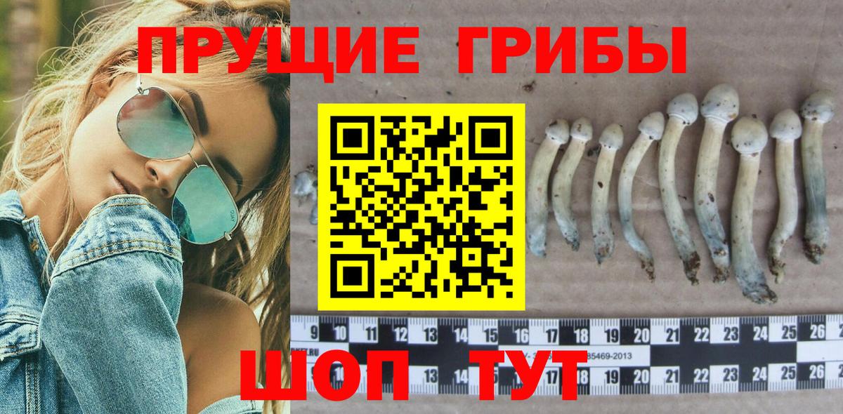 Псилоцибиновые грибы ЛСД  что такое наркотик  Артёмовский  Вход с VPN 