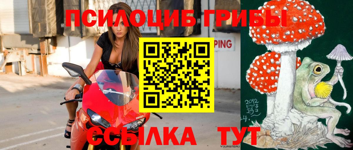 Псилоцибиновые грибы ЛСД Артёмовский